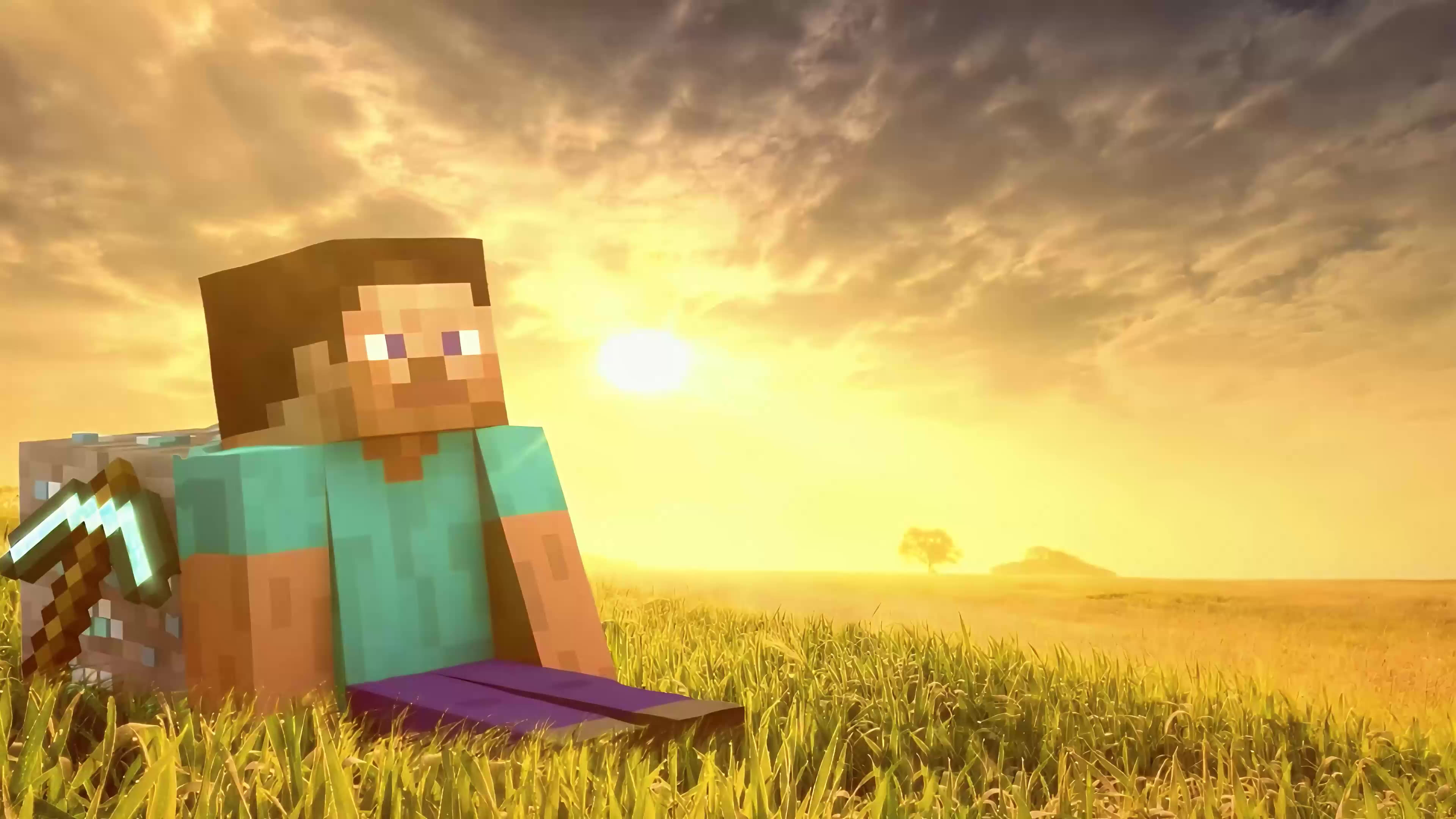 Steve